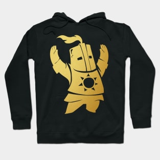 Praise the Sun! Hoodie